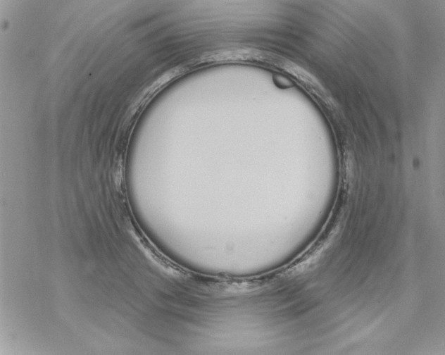 X0000069400841200606091739