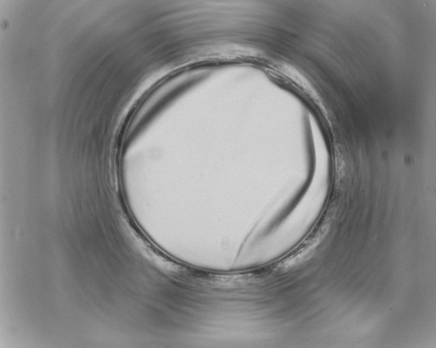 X0000069400843200606091739