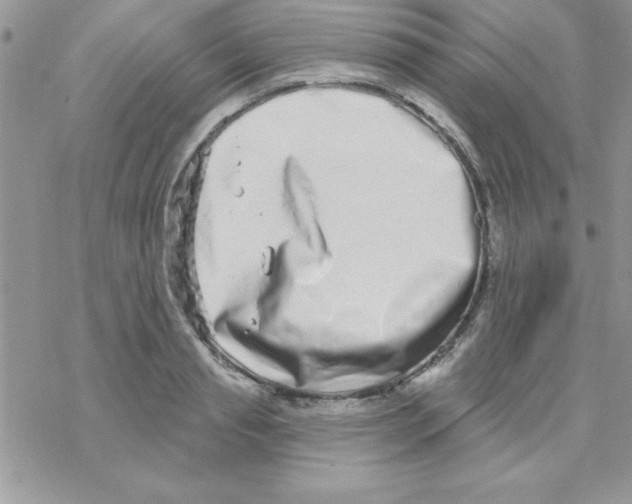 X0000069400845200606091739