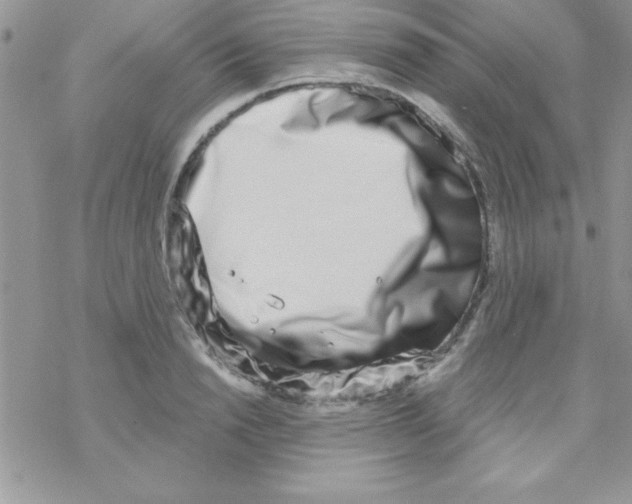 X0000069400846200606091740