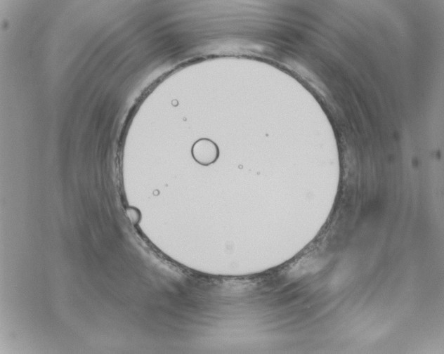 X0000069400848200606091740