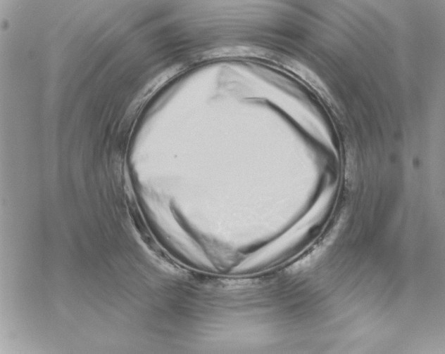 X0000069400849200606091740