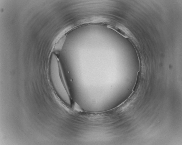 X0000069400850200606091740