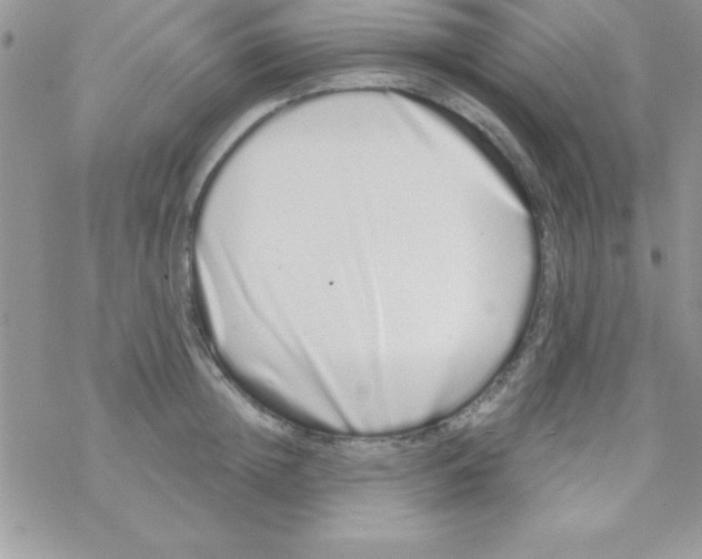 X0000069400852200606091740