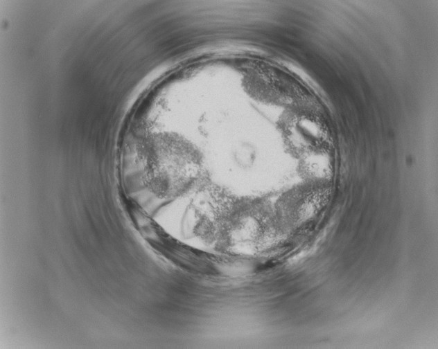 X0000069400853200606091740