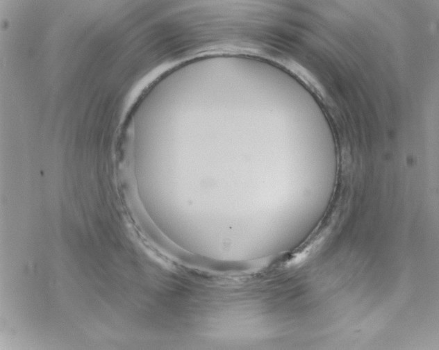 X0000069400854200606091740