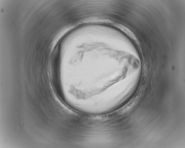 X0000069400855200606091740