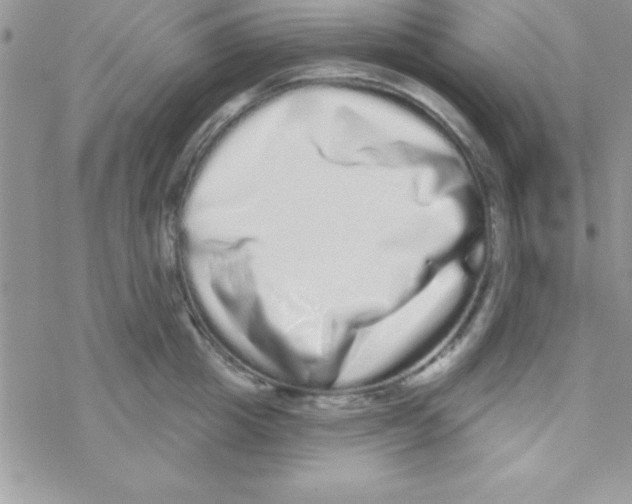 X0000069400857200606091740