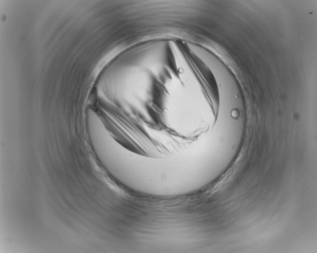 X0000069400858200606091740