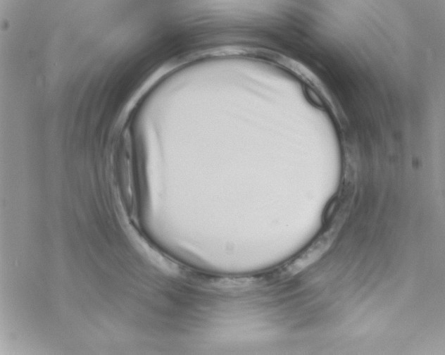 X0000069400859200606091740