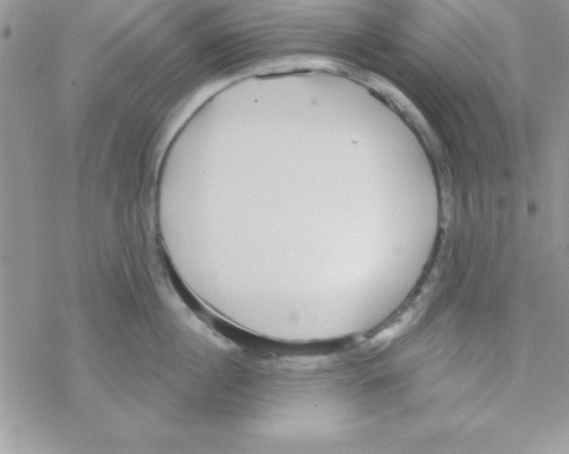 X0000069400860200606091740