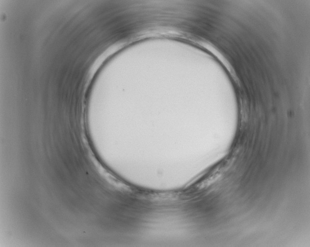 X0000069400861200606091740