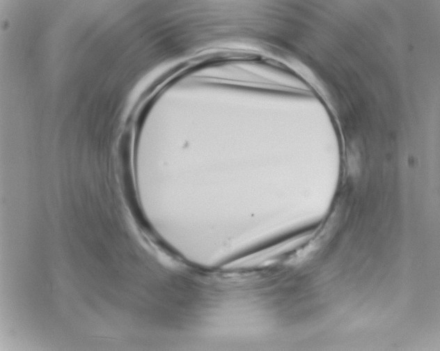 X0000069400862200606091740