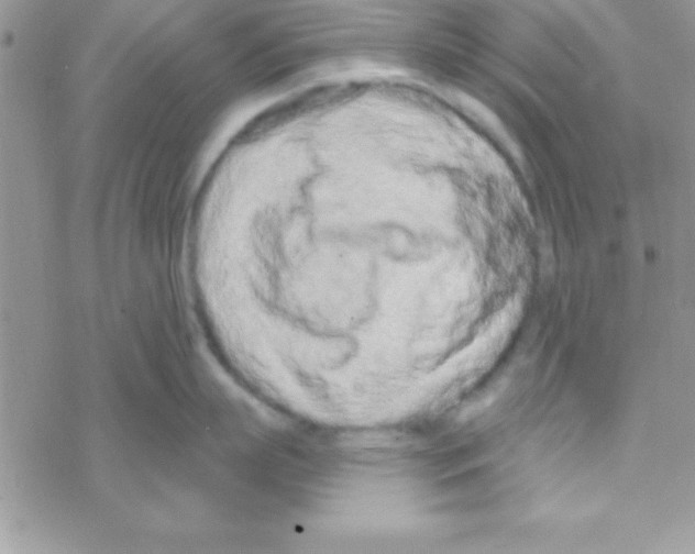 X0000069400863200606091740