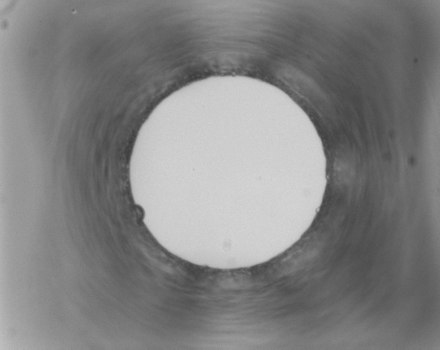 X0000069400865200606091739