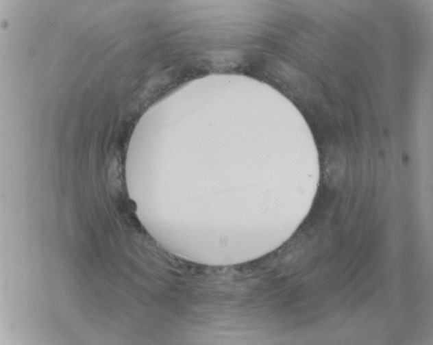 X0000069400866200606091739