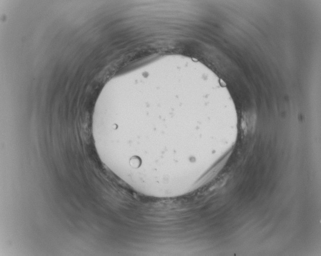 X0000069400867200606091739