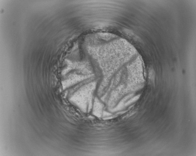 X0000069400868200606091739