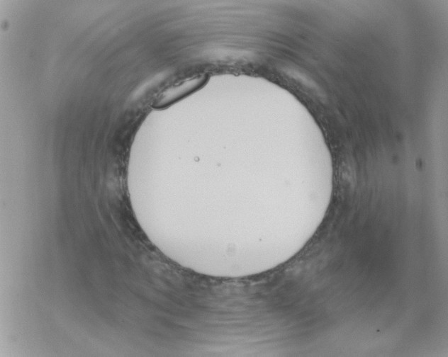 X0000069400869200606091739