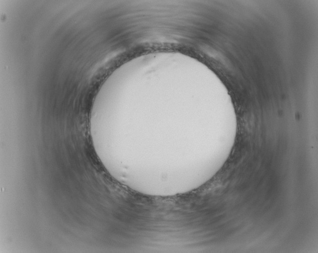 X0000069400870200606091739