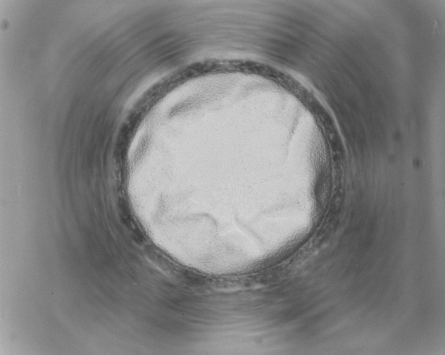 X0000069400871200606091739