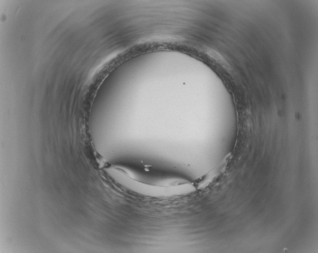 X0000069400872200606091739