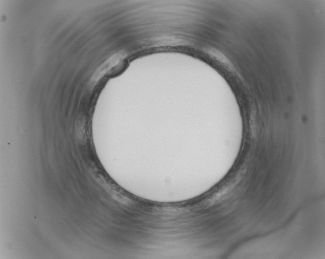 X0000069400873200606091739