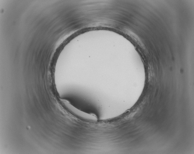 X0000069400876200606091739