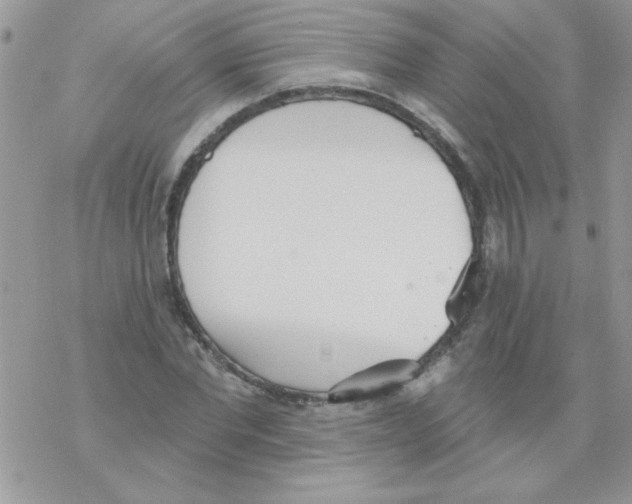 X0000069400877200606091739