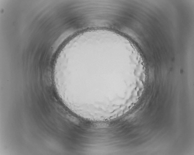 X0000069400878200606091739