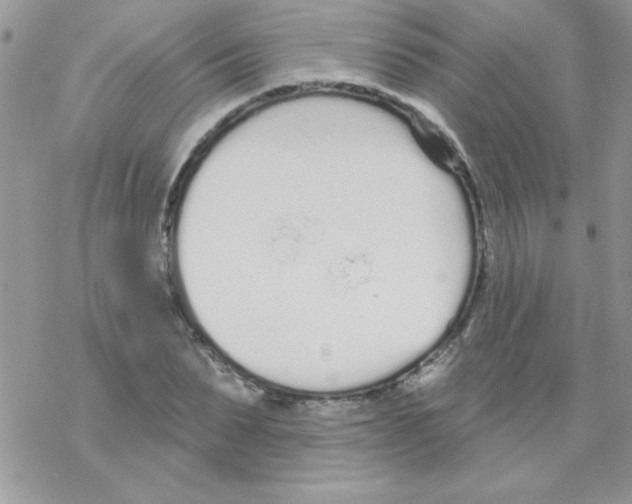 X0000069400879200606091739