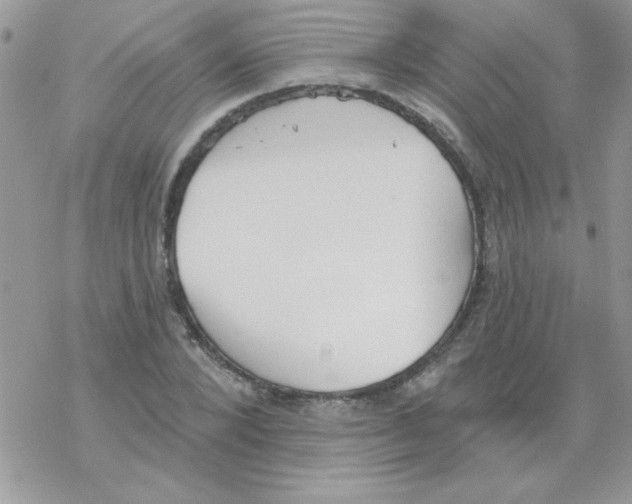 X0000069400880200606091739