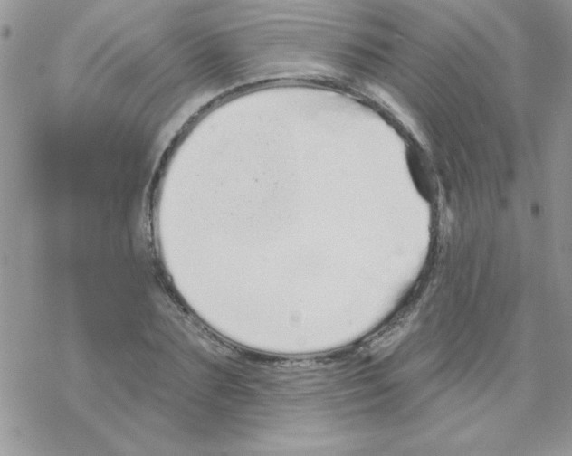 X0000069400883200606091739