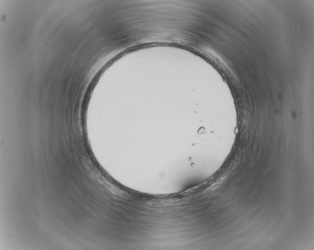 X0000069400884200606091739