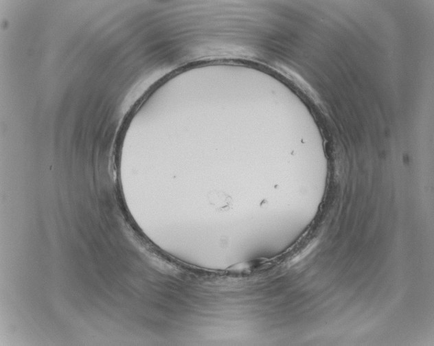 X0000069400885200606091739