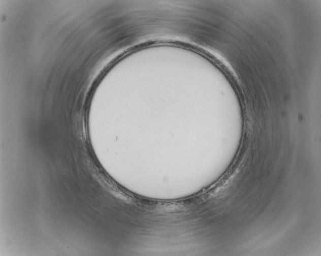 X0000069400887200606091739