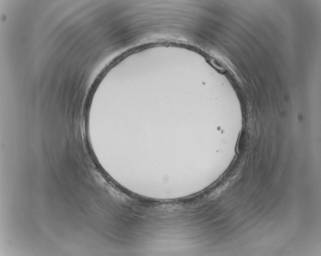 X0000069400888200606091739