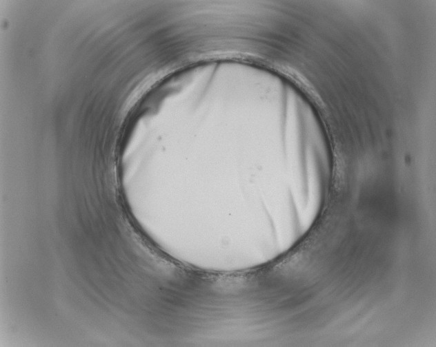 X0000069400890200606091739