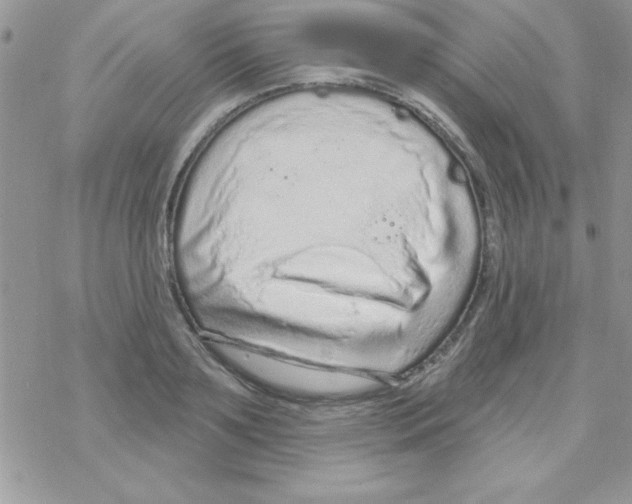 X0000069400891200606091739