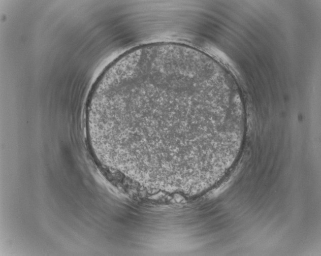 X0000069400892200606091739