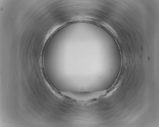 X0000069400893200606091739