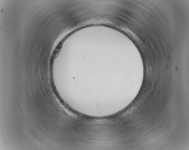 X0000069400894200606091739