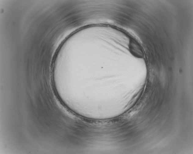 X0000069400895200606091739