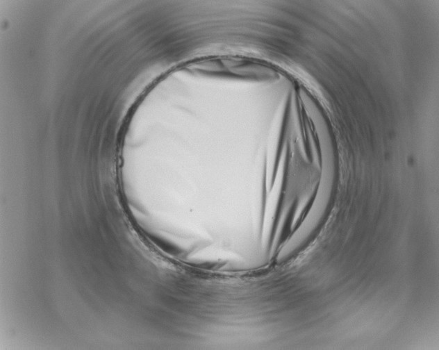 X0000069400896200606091739