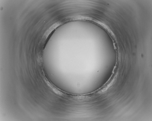 X0000069400897200606091739