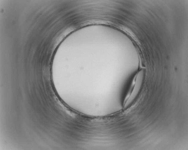 X0000069400898200606091738