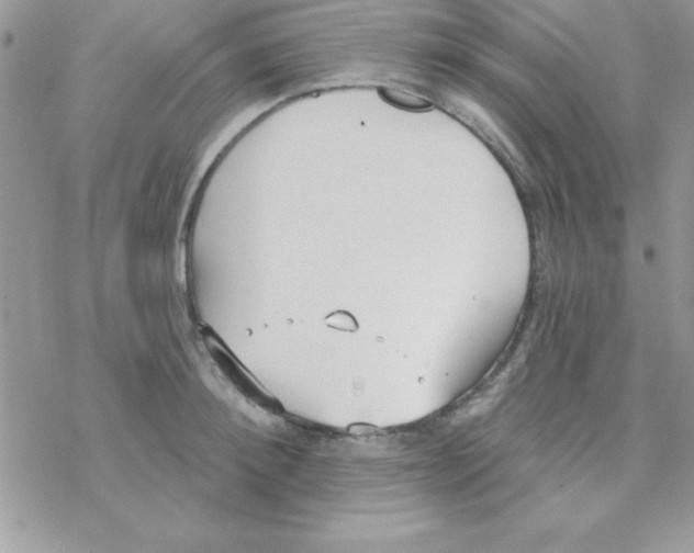 X0000069400900200606091738