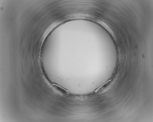 X0000069400901200606091738