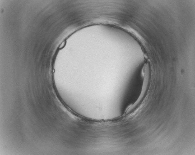 X0000069400902200606091738