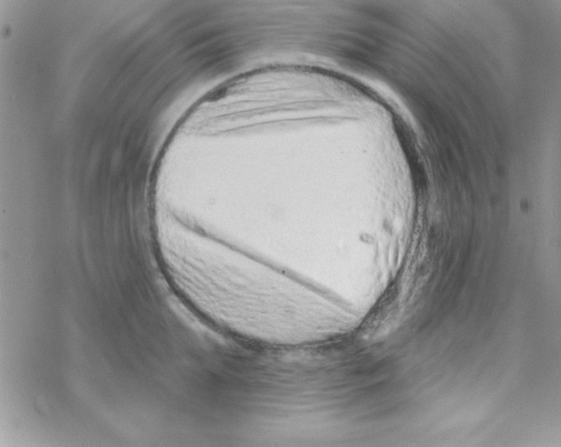 X0000069400903200606091738